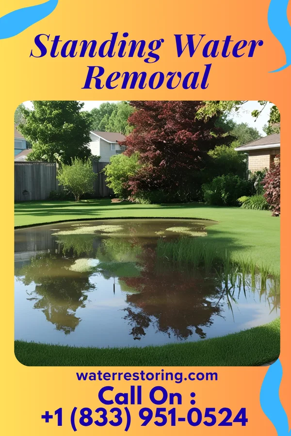 Standing Water Removal in Rushville, MO